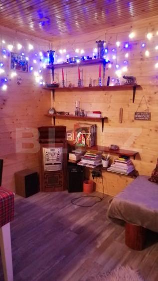 Cabana cu parau si brazi maturi, 1400mp, Valea Fericirii - 12