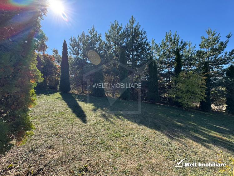 Vila in Faget, zona Vila Tusa, 400 mp, 2412 mp teren