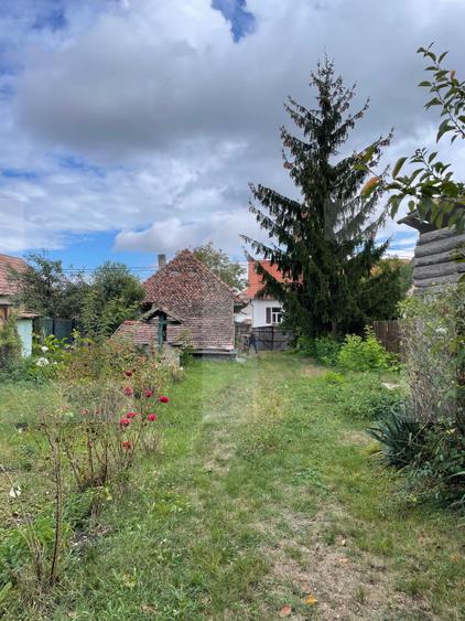 Casă țărănească în centrul localității Ilieni – teren 832 mp.