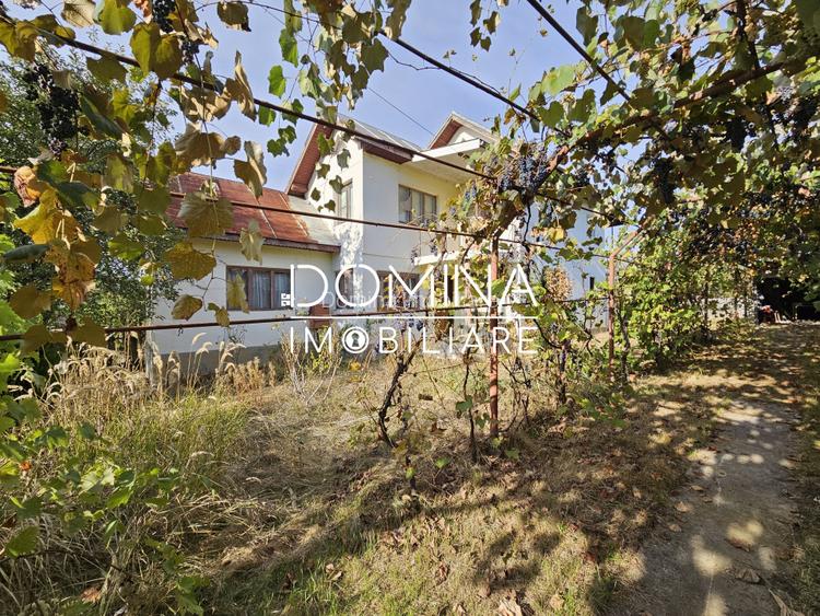 Vânzare casă P+1, în comuna Dănești, sat Șasa - la 10 km distanță de Tg. Jiu - 9