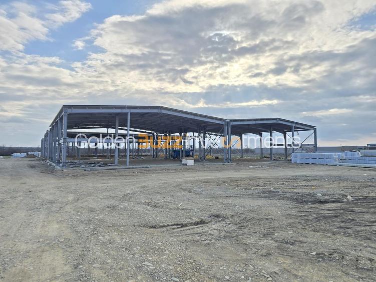 Hale Industriale NOI DN2 Afumati|15 Unități | Acces TIR + Vizibilitate - 3