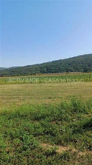 Teren intravilan 2500 mp  de vanzare - 5
