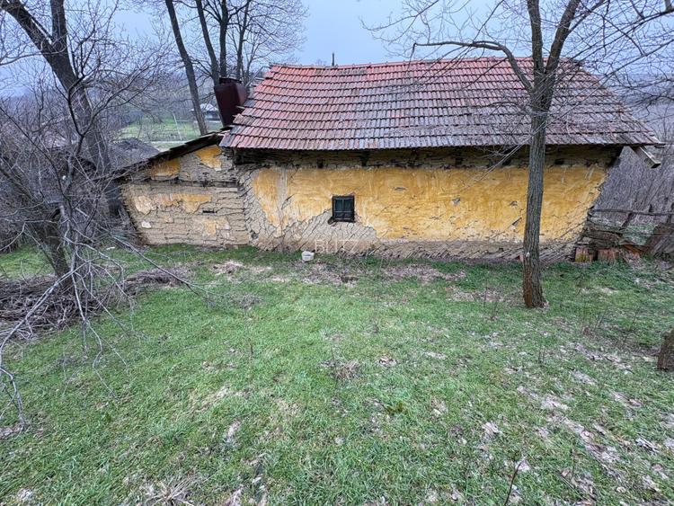 Teren 2.038 mp + Casă 50 mp de vânzare – Sat Luncsoru, Com. Ghercești - 10