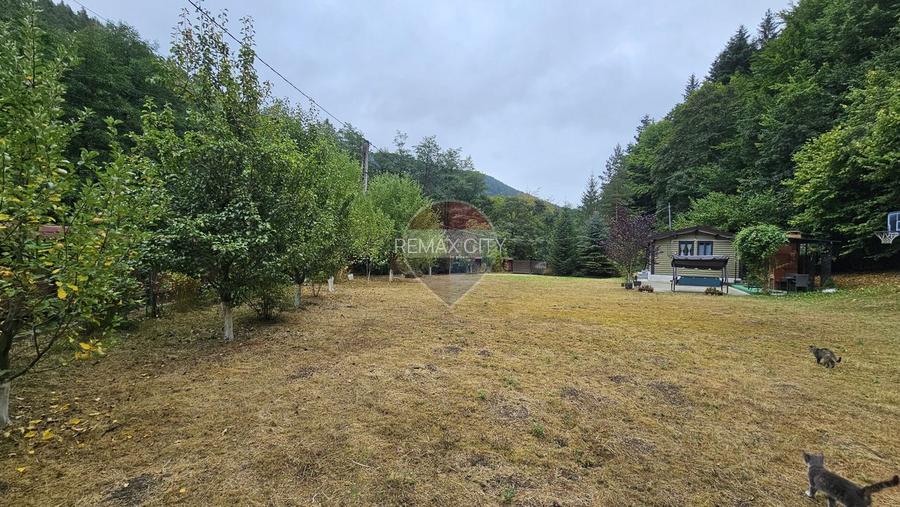 Căsuță de vacanță de vânzare – comuna Alexandru cel Bun, Neamț - 22