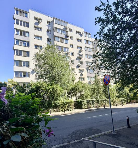 Cozy Studio luminos in Banu Manta - Victoriei cu pat si canapea - 15
