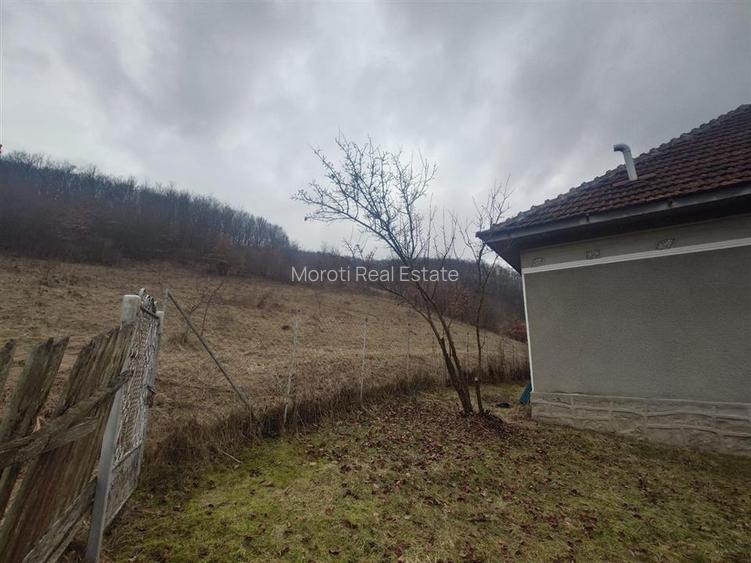 1.3 haTeren si  Casa Luncoiu de Jos - 18