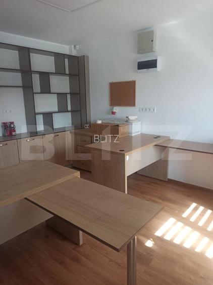 Repozitionare de pret! Proprietate Sangiorgiu 834mp ideal productie sau clinica. - 6