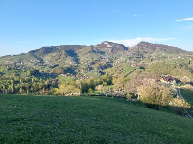 Teren intravilan panoramic în Peștera, Moieciu - 11048 mp