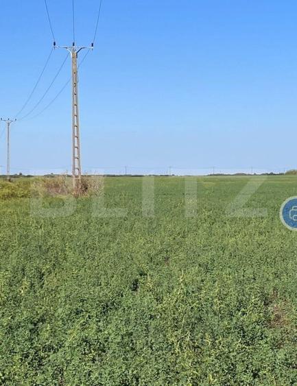 Teren arabil, 25 ha, Giulvaz-Foeni, front stradal 280 ml