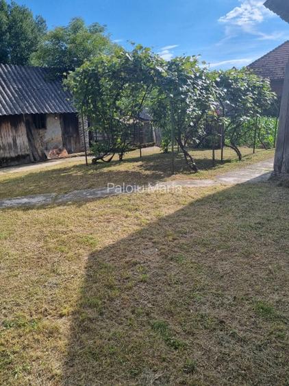 Casă cu etaj, 4 camere + hol, teren 1.500 mp — sat Bărcanele, com. Păușești - 4
