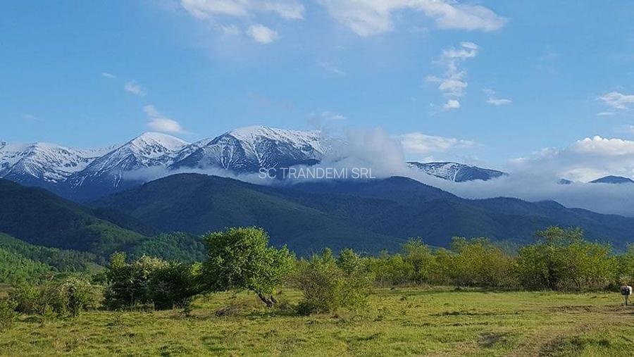 Vanzare parcele de teren 862mp / 1740mp pe Valea Avrigului, Județul Sibiu - 11