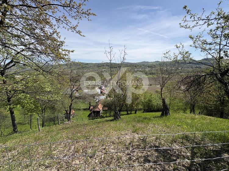 14.613 mp teren | Casă la roșu și 2 case tradiționale | 1,5 km de A1 Tigveni - 2