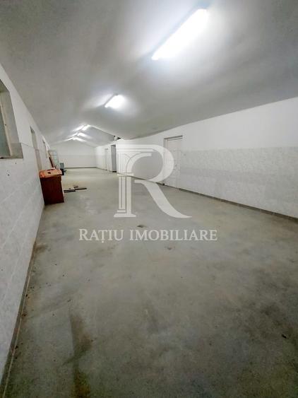Hala Constructie Caramida | Ineu | Bihor