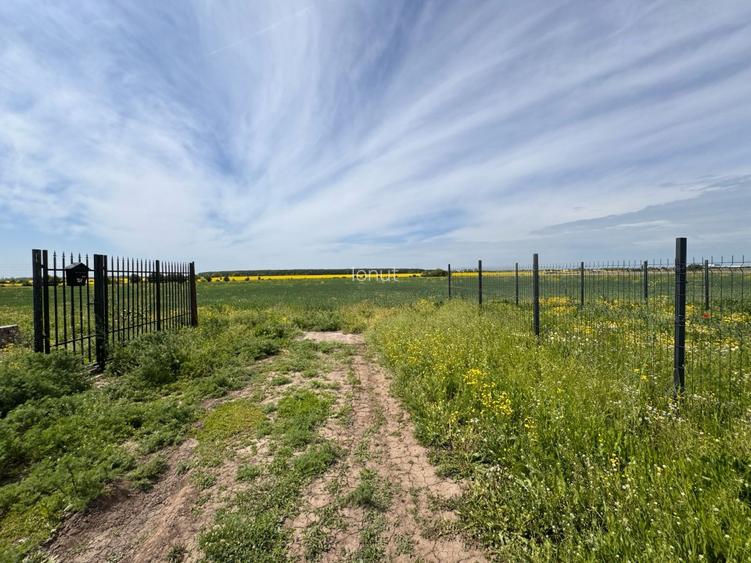 lot 550 mp, Malinului  - 2