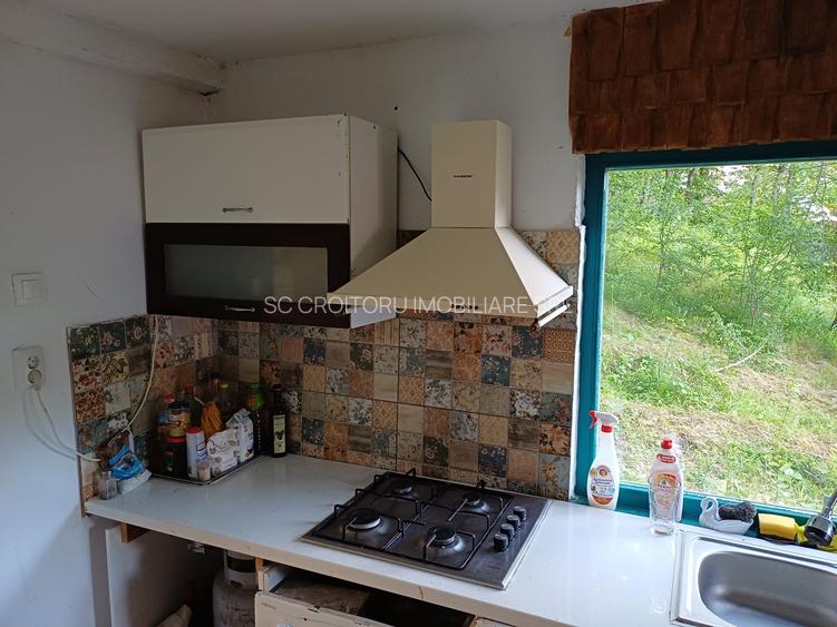 Vrancea - Nistoresti ! Vanzare ! Vila cu personalitate si potential turistic ! - 10