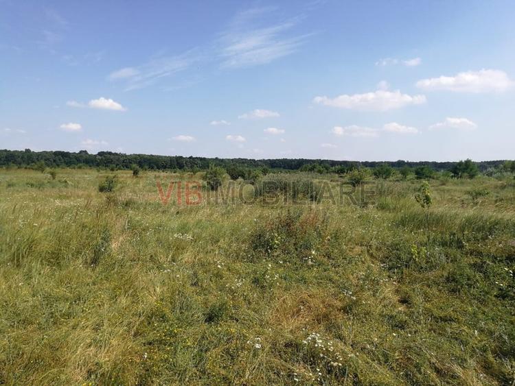 Baneasa - Piscul Reghiului, teren intravilan, suprafata 727 mp
