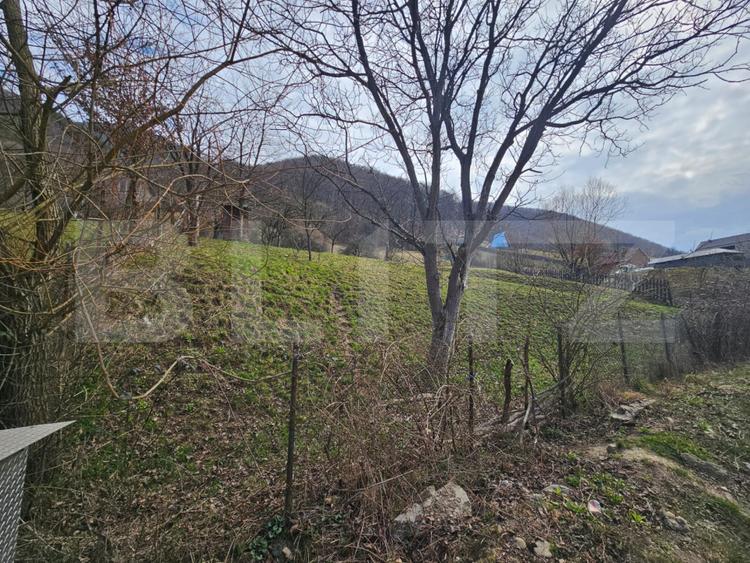 Teren intravilan generos de 4000 mp, cu priveliște montană, Cugir
