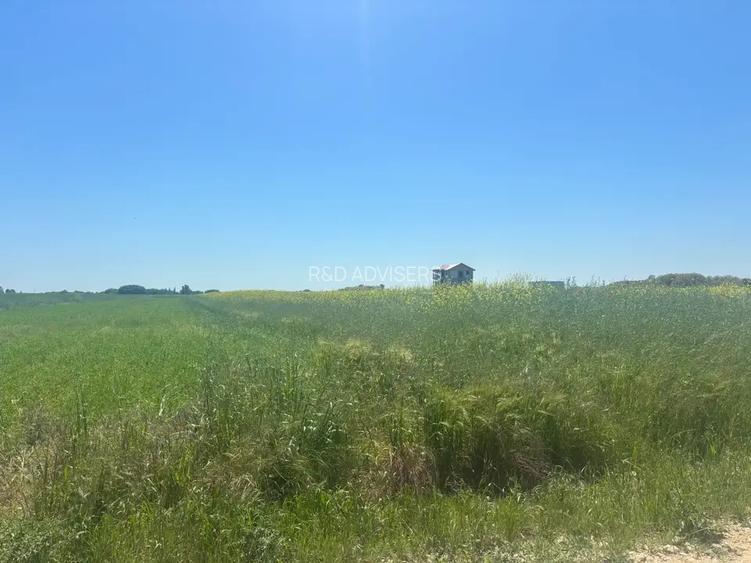 Loturi teren 500 m P+1+M Berceni - Vidra Actele la zi Puz valabil - 3