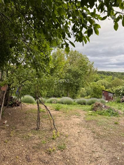 Proprietate de Vânzare în Sat Dalga, Comuna Calopăr - 2900 mp | Două Case + Plan - 2