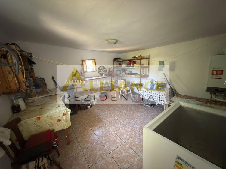 CASA INDIVIDUALA CU POTENTIAL COMERCIAL – CATELU, STRADA INDEPENDENTEI - 12