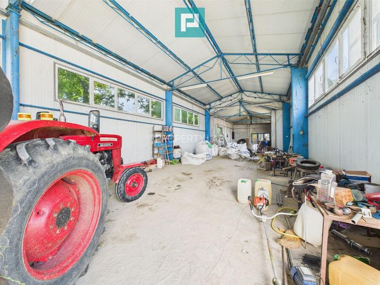 Clădire cu 5 camere cu teren și hală în Cenad - 15