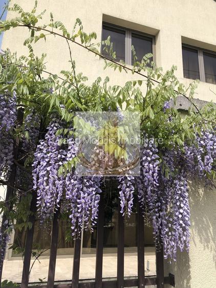 Vilă spectaculoasă în zona Brâncoveanu | 270 mp | Garaj| Curte proprie - 4