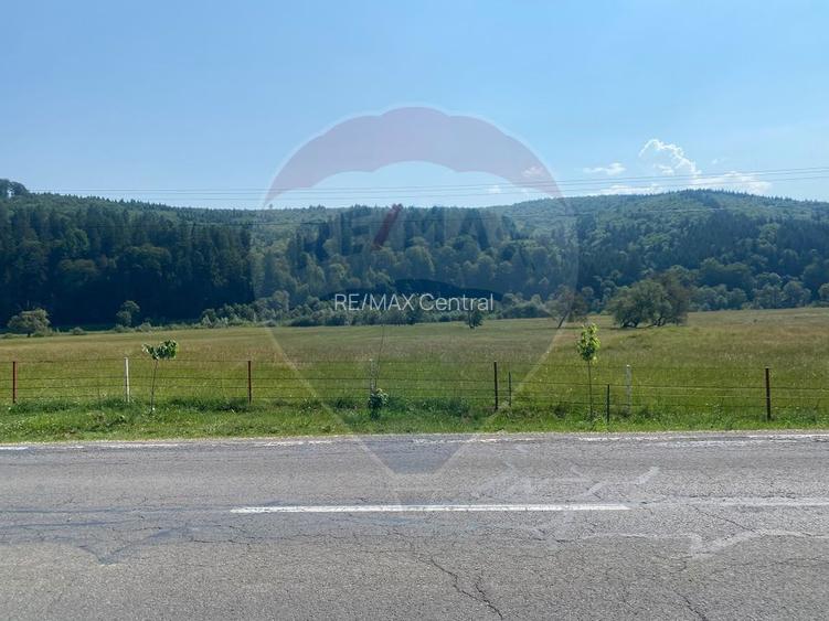 Teren Extravilan 3866 mp in Vama Buzaului la Strada Principala - 2