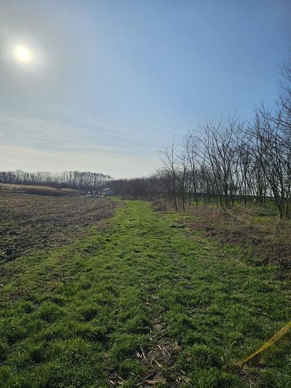 Teren extravilan pentru balastiera Biharia