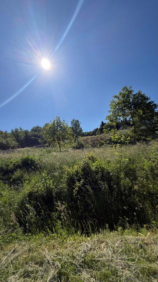 Teren intravilan 53 Ari,zona superba,oportunitate de investitie