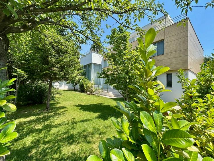 Luxury villa, Cambridge School, Iancu Nicolae area