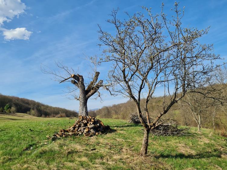 Proprietar vand casa+ teren 13000mp, Steia, Tomesti, jud. Hunedoara, 20km de Bra - 3