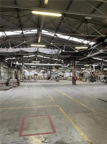 Spatiu Industrial - 5000 mp - Productie - Depozitare - 12