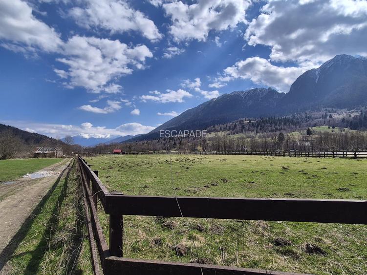 Teren investitie, superb intravilan 1200 mp, Plaiul Foii, vedere la munte - 4