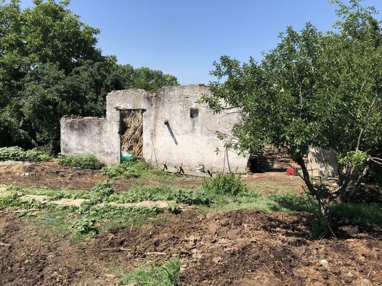 Proprietar vand teren -Teleorman-Radoiesti/Cetate-Comision 0! - 7