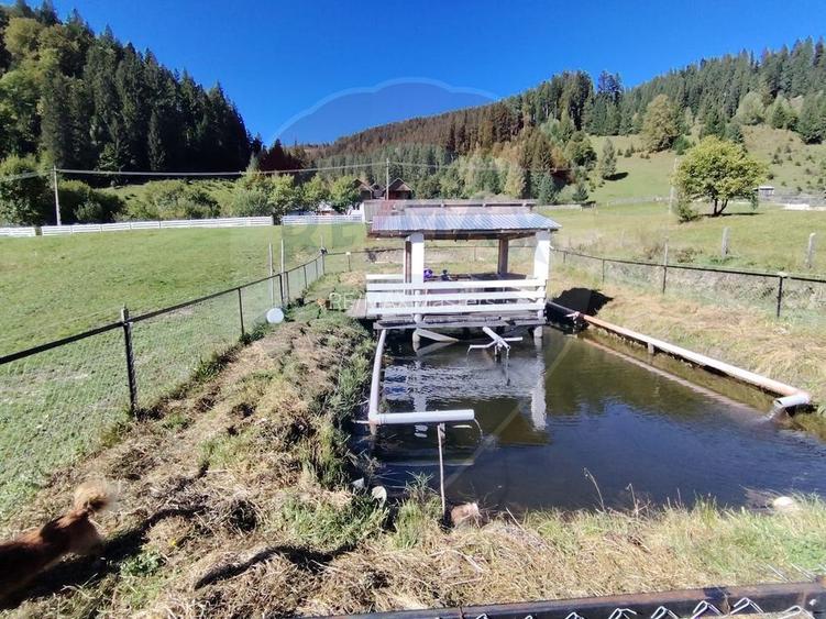 Casă în Vatra Dornei, zona Argestru, cu 11.541m.p. TEREN INTRAVILAN - 21
