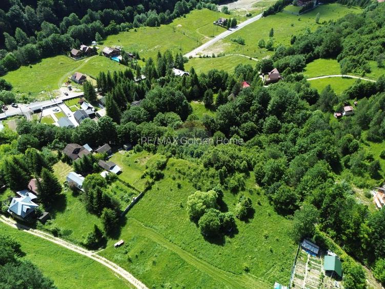 Teren 1,500mp Lepsa / Strada Manastirii - 5