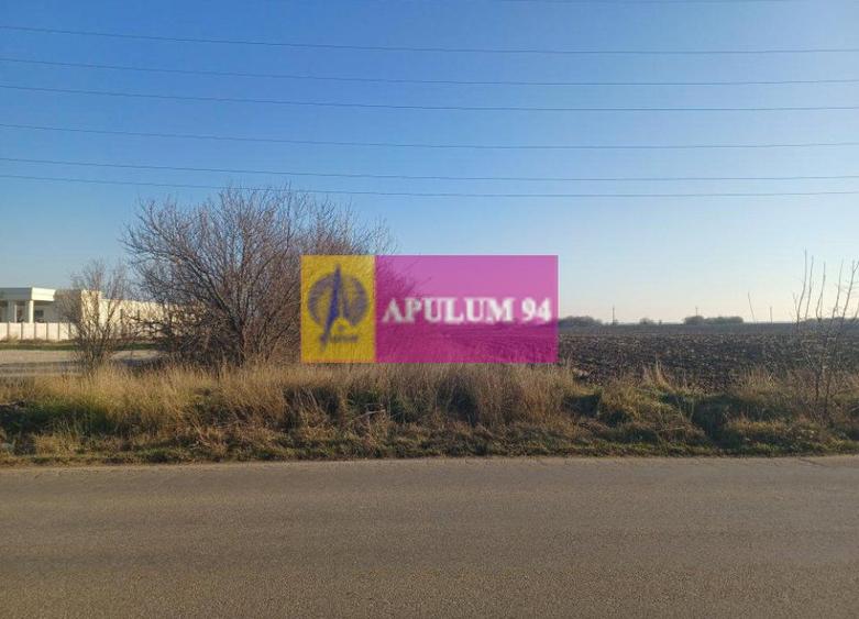 Săbăreni, teren intravilan 8800 mp, pe DJ 602, pretabil hale, depozite