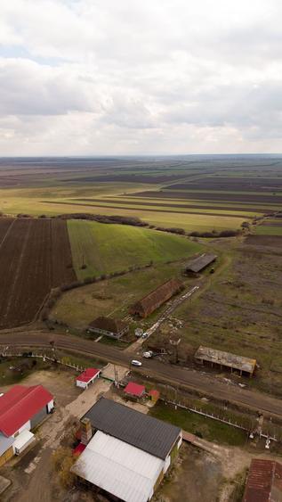 Fermă cu teren intravilan de 35000 mp în Mișca