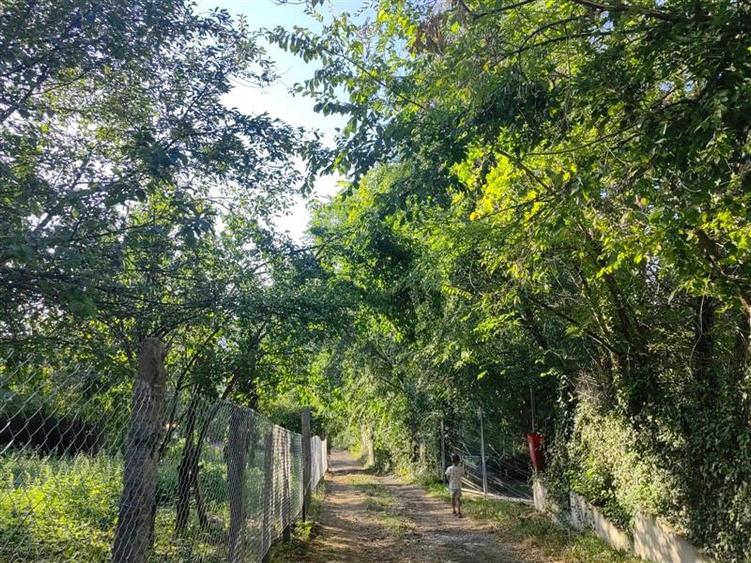 Teren intravilan 5 arii, Platoul Cornesti ,str Padurii , Targu Mures