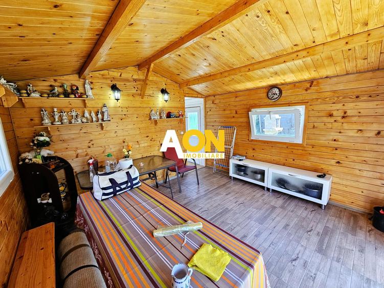 Casa 3 camere, mobilata, utilata, 300 mp teren, Ampoi 3