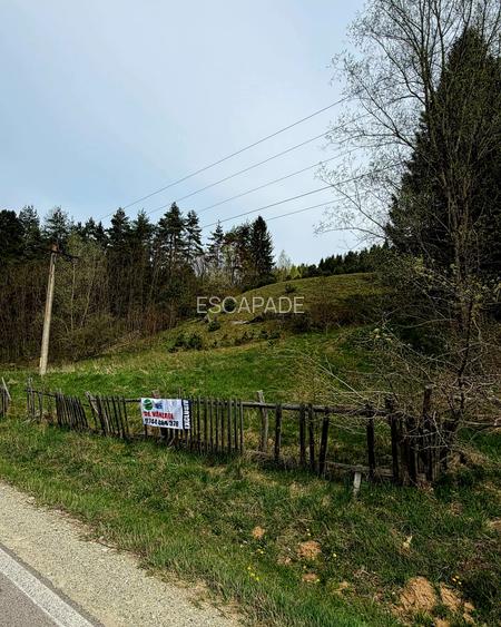 Teren extravilan de vânzare – Șinca Nouă, Brașov | 10.290 mp - 2