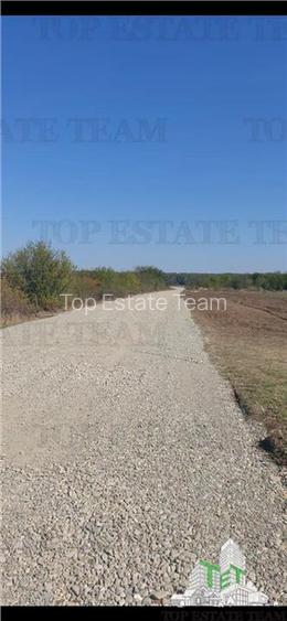 Teren Dambovita, Butimanu 14394 mp, ideal proiect hale - 3