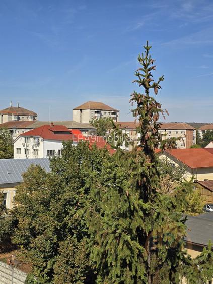 Apartament 2 camere | Decomandat | Renovabil | Rogerius - Str. Lalescu - 13