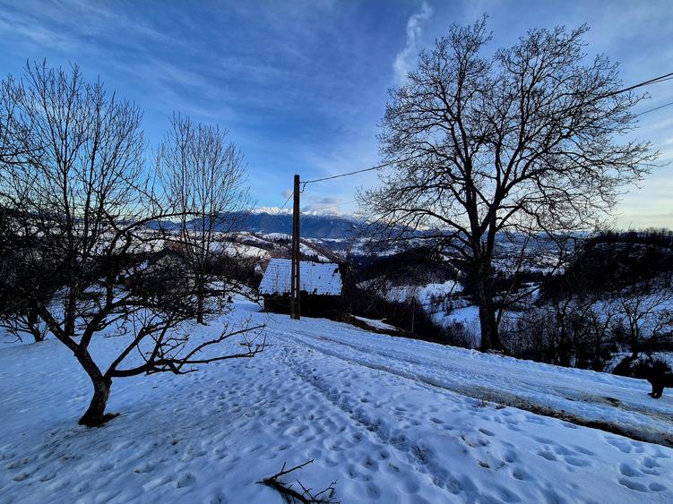 Teren intravilan Simon/Bran, 4318 mp , casuta intabulata, utilitati