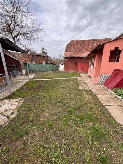 Casa de 3 camere, 500mp teren+bucatarie de vara+sura-Bod