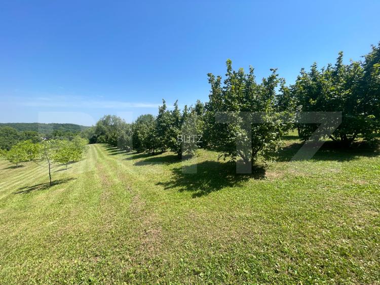 Glamping, piscicultură și turism spiritual - totul într-un singur loc - 19