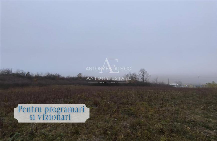 Antony Estate | Vanzare Teren Intravilan,40 euro/mp,Paleu,Oradea - 6