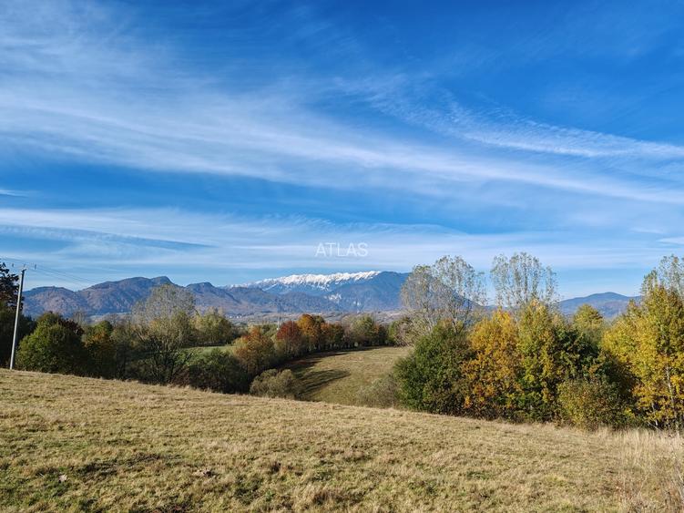 5.800 mp extravilan, Sohodol-Bran, retreat, cabane, off-grid ecoturism, panorama - 8