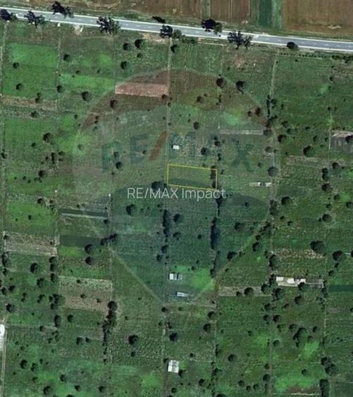 Teren intravilan de vanzare , 1000 mp, parcelabil, Islaz - 2
