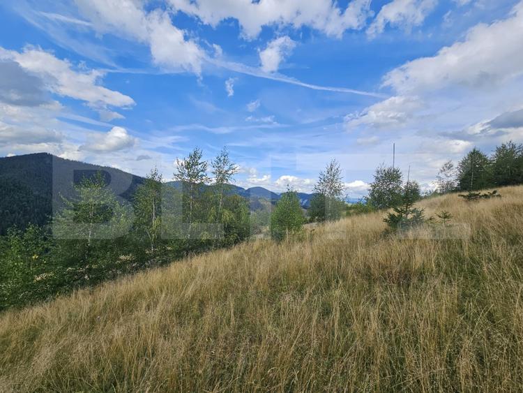 Teren intravilan 5.271 mp cu priveliște spectaculoasă – Gârda de Sus, Snide
